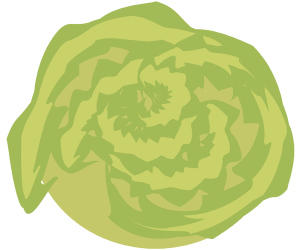 Wasabi, condiment for Japanese food Game