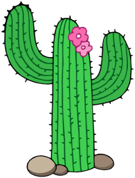 Cactus from the Sonoran Desert, the saguaro Game