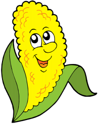 Corn cob, central core of the maize. Ear of corn Game