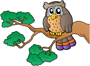 Owl on a tree branch. Bird of prey Game
