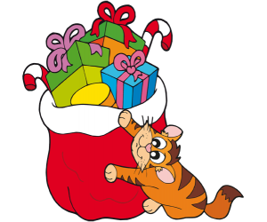 A cat with the sack of gifts Game