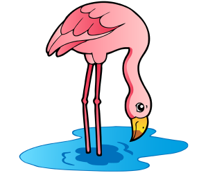A flamingo in shallow water Game