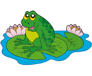 A frog on the leaves of a water lily Game