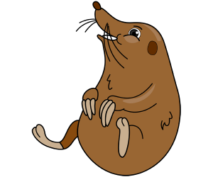 A mole, a small mammal with subterranean life Game