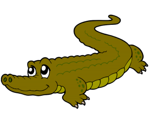 Alligator, reptile from fresh water Game