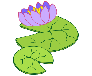 Aquatic plant with flower in the pond, waterlily Game