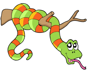 Boa constrictor, large non-venomous snake Game