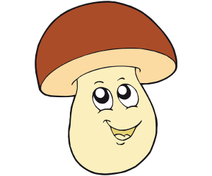 Boletus edulis, penny bun. Highly valued mushroom Game