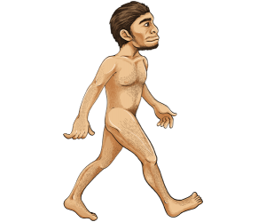 Homo erectus, use of tools and fire Game