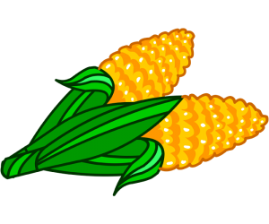 The celebration for the harvest, the maize Game
