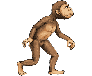 The first bipedal hominid, Australopithecus Game