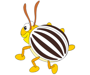 The potato beetle, a striped beetle Game
