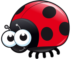 The red ladybug is the most common Game