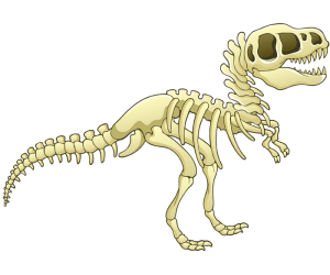 The skeleton of a dinosaur, prehistoric animal Game