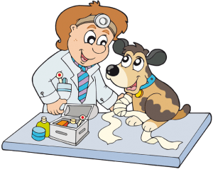 Dog with a wounded paw in the veterinary Game