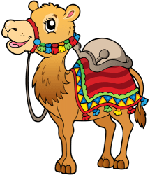 Dromedary, the arabian camel has one hump Game
