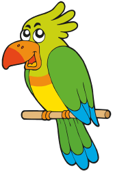 Green cockatoo Game