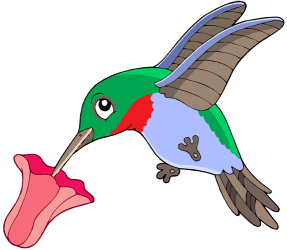 Hummingbird and a flower Game