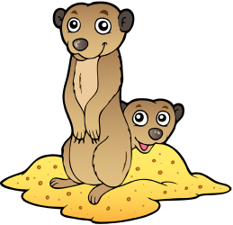 Meerkats, small african mammals Game