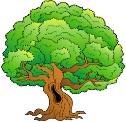 Old holm oak, evergreen tree Game