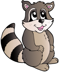 Raccoon, mammalian native from North America Game