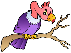 Vulture, a scavenger bird of prey Game