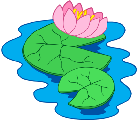 Waterlily with flower. Aquatic plant with flower Game