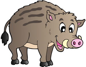 Wild boar, ancestor of domestic pig Game