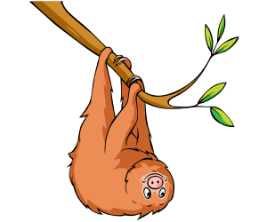 A sloth, a medium mammal which eats leaves Game