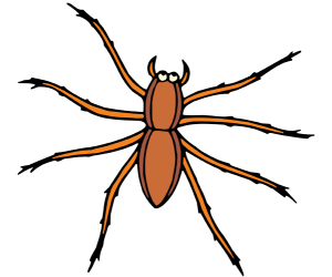 A spider, the arachnids have eight legs Game