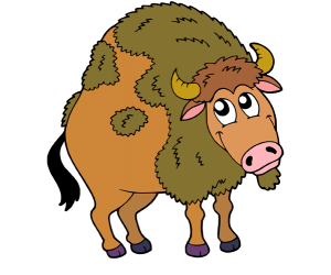 An american bison,a buffalo, large american mammal Game
