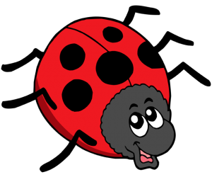An insect in spring, a ladybug Game