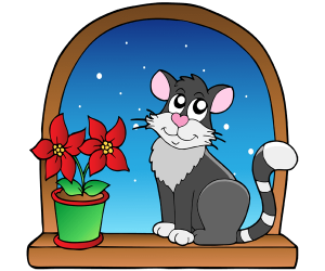 Cat at the window with a Christmas flower Game