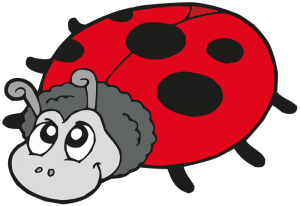 Ladybug, small insect with bright colors Game