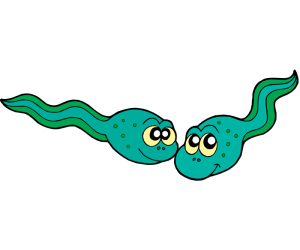 Tadpoles, the larval phase of an amphibian Game