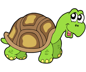 Terrestrial turtle, tortoise, herbivore reptile Game
