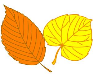 The dry leaves, typical image from fall Game