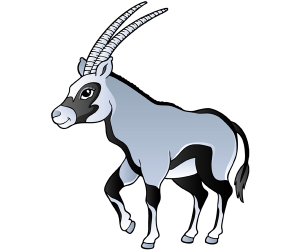 The gemsbok, a large antelope, Oryx gazella Game