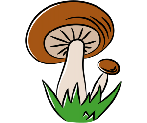 The mushrooms are typical in the autumn Game
