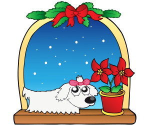 The puppy in front of the window in Christmas Game