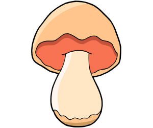 The unknown mushrooms pose a risk Game