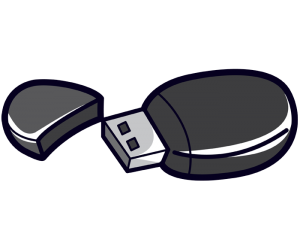 USB flash drive, a data storage device Game